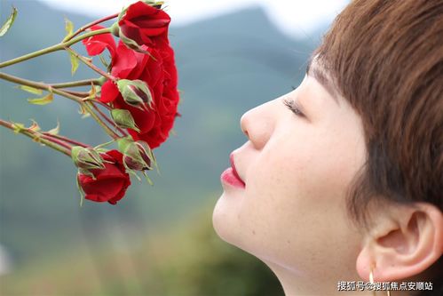 龍宮千畝玫瑰開 翹首靜待君到來