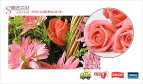 特別的今天,中國網上花城 商品內容 扶郎20枝 粉色康乃馨16枝 粉玫瑰6枝 滿天星 黃鶯 商品包裝 精美花籃