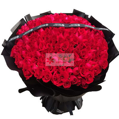 情人節(jié)求婚玫瑰花圖片