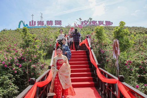 共赴玫瑰之約 宣漢大成2025農(nóng)文旅綜合消費季在千畝玫瑰園里開幕