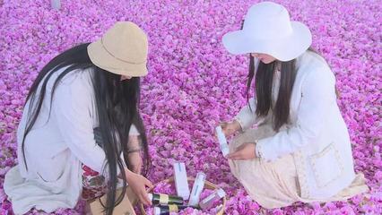 江蘇響水:芳香花卉產(chǎn)業(yè)助推“香”村振興