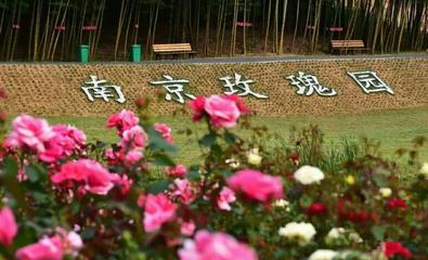 南京玫瑰園門票價格/多少錢/在線預(yù)訂_南京玫瑰園地址/在哪里/好玩嗎/游玩攻略