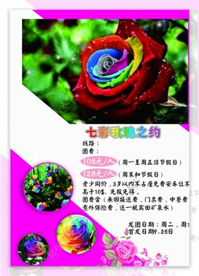 玫瑰之約移門圖