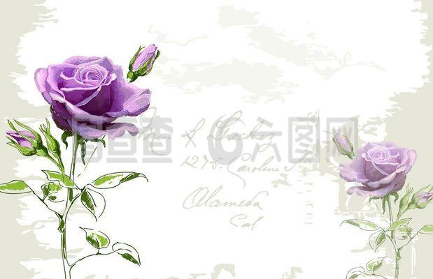 玫瑰之約 一場(chǎng)與美的浪漫邂逅