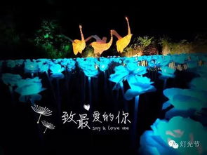 玫瑰之約 昌平首屆浪漫玫瑰燈光節隆重開幕